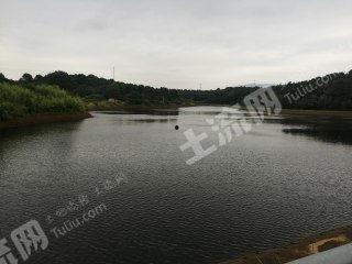 长沙水库爆料最新消息今天,最新爆料揭示惊人真相  第3张