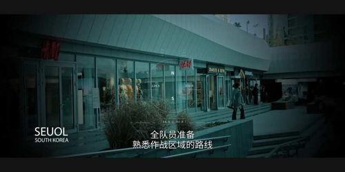 局内人手机在线观看