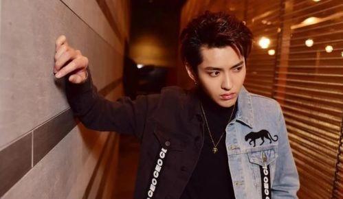 吴亦凡女生爆料视频,真相与争议交织  第2张